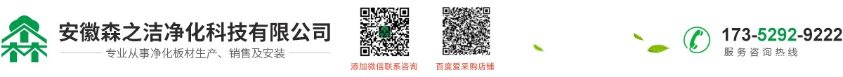 安徽森之洁净化科技有限公司